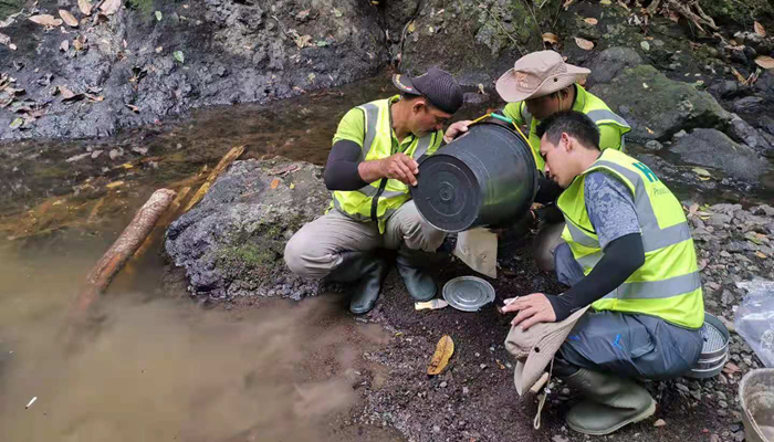 stream sediment of hulubalang gold mine